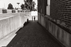 Photo #42